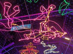 -南宫五洲植物乐园