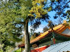-潭柘寺景区
