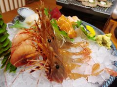 -月龍吟(朝龙汇店)