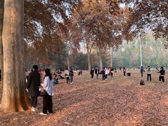 -河南省黄河迎宾馆