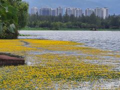 -西昌邛海湿地