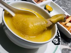 -禄婶鸡煲·打边炉