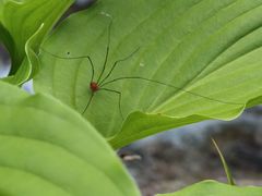 -西岭雪山大飞水景区