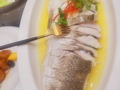 -鲁宴·鲁煨黄河生态大鲤鱼(月坛店)