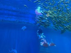 -华夏文旅海洋公园