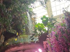 -正佳雨林生态植物园
