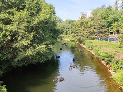 -长白岛森林公园