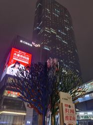 -八佰伴8008星级形象店