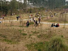 -三圣花乡旅游区