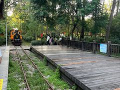 -合肥滨湖国家森林公园