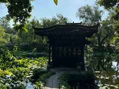 -扬州大运河文化旅游度假区·盆景园