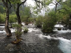 -九寨沟-树正沟