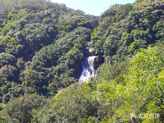 馬巒山郊野公園圖片 - 第32張