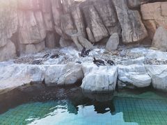 -上海野生动物园
