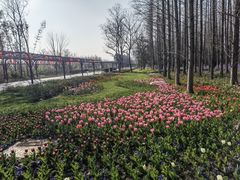 -东平国家森林公园