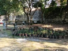 -朱家花园