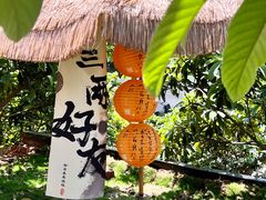-桃源山庄·水蜜桃采摘·柴火鸡·烧烤团建(龙泉山店)