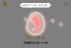 -北京圣宝妇产医院·妇产科·儿科