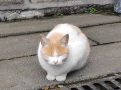 -广州市帽峰山景区