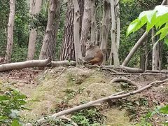 -黔灵山公园