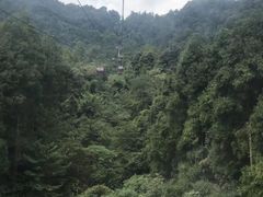 -青城山