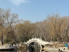 -桃花堤公园