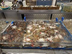 -半岛听涛蒸汽海鲜自助(K11店)
