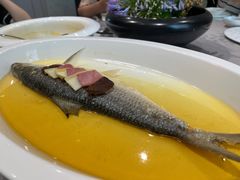 -新光酒家·河豚·海鲜·蟹料理(浦东店)