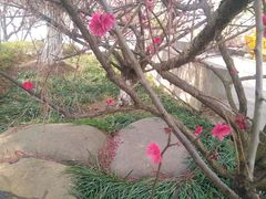 -公益图书馆(江南大学店)