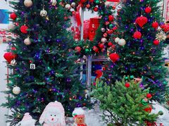-山姆会员商店(杨桥西路店)