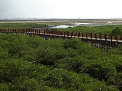 -北海金海湾红树林生态旅游区