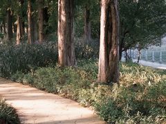 -食膳公园包子铺(烈士公园店)