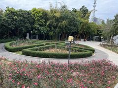 -清湖文化公园