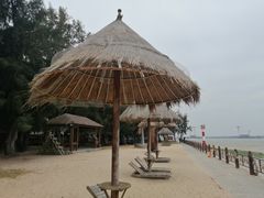 -北海金海湾红树林生态旅游区