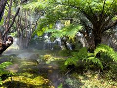 -Chom Cafe and Restaurant