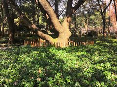 -徐家汇源景区-衡山公园