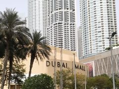 -迪拜水族馆及水下动物园