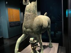 -广西壮族自治区博物馆