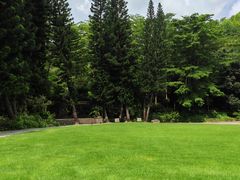 -深圳仙湖植物园