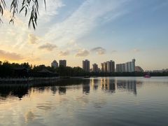 -莲花池公园