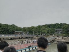 -巢湖姥山岛