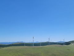 -张北坝上草原