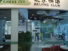-常青藤国际象棋(新奥店)