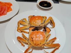 -北约客维景国际大酒店-央街西餐厅(同泽北街店)