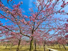 -风云岭森林公园