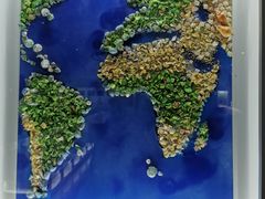 -贝壳王国博物馆
