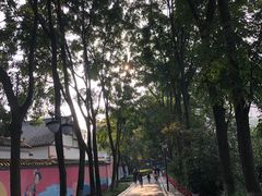 -塔子山公园