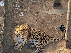 -西霞口神雕山野生动物世界