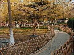 -丰台科技园生态主题公园