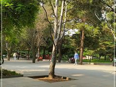 -中央民族大学